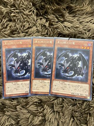 真紅眼の幼竜 レア3枚