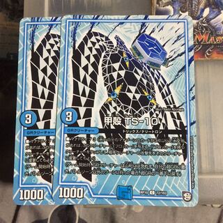 専用 セット割引  甲殻 TS-10 2枚セットぱくちーたー3枚