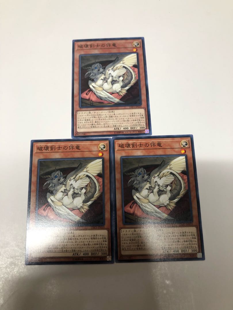 Buster Whelp of the Destruction Swordsman3-piece set