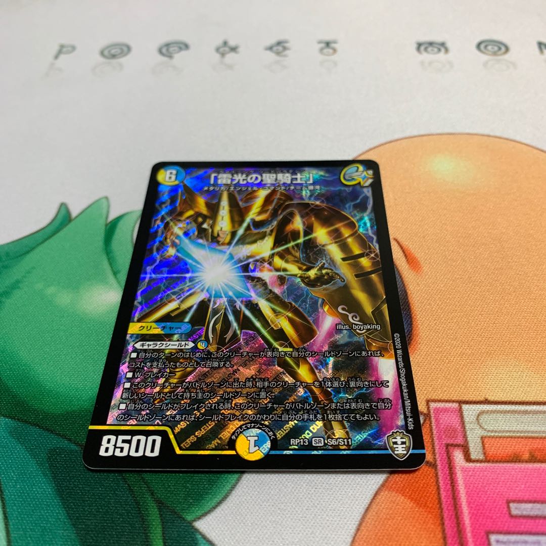 "Holy knight of lightning."