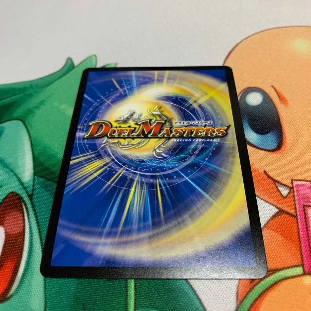 "Holy knight of lightning."