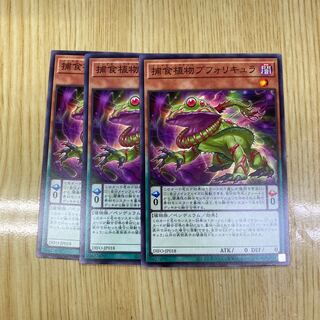 Prey Upon Plant Buphoricure Normal