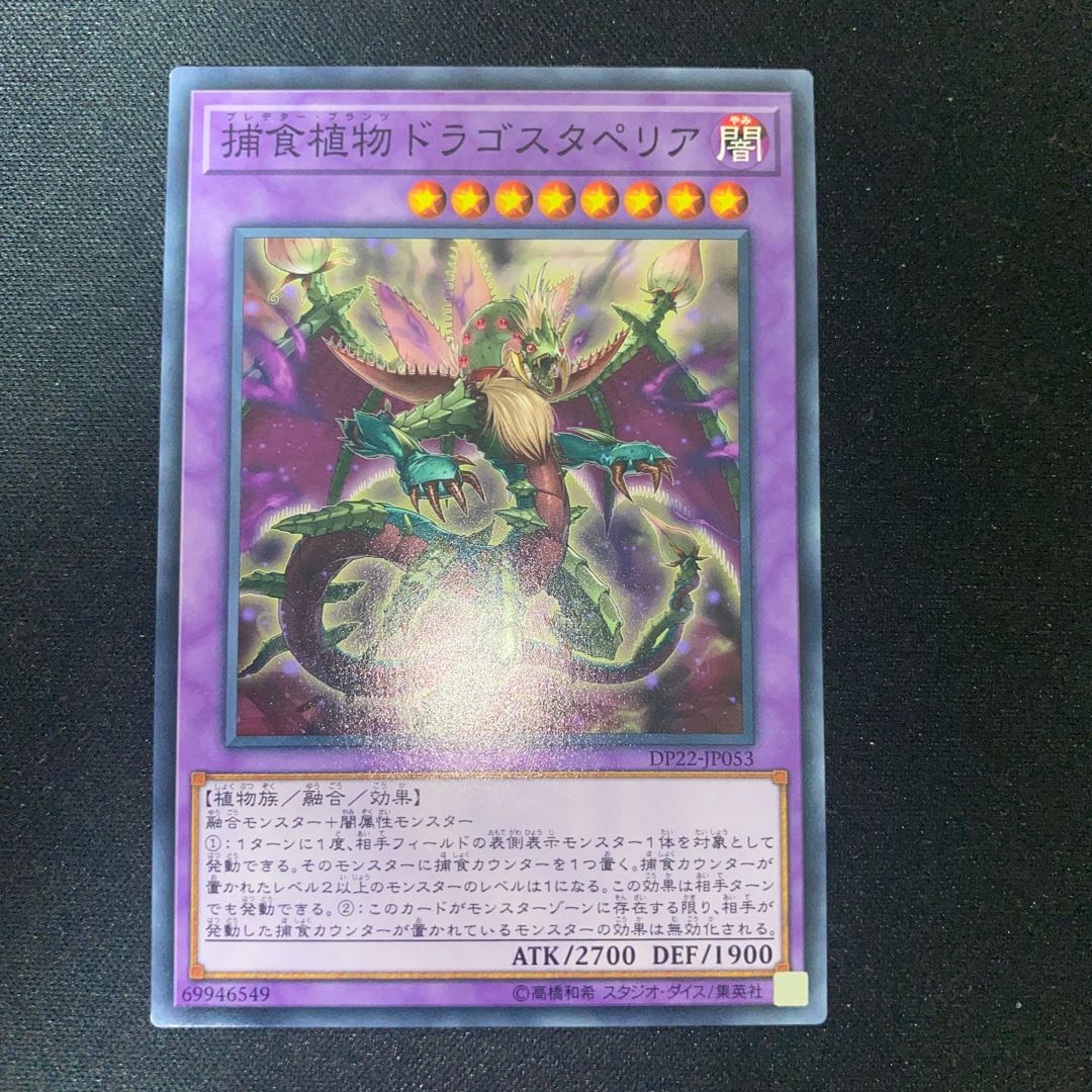 Predaplant Dragostapelia Normal