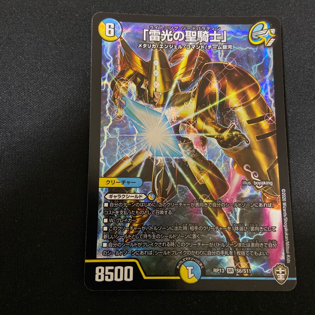 Lightning Sword Paladin, Holy Knight of Light