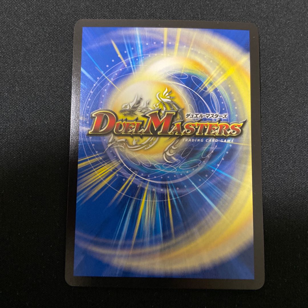 Lightning Sword Paladin, Holy Knight of Light