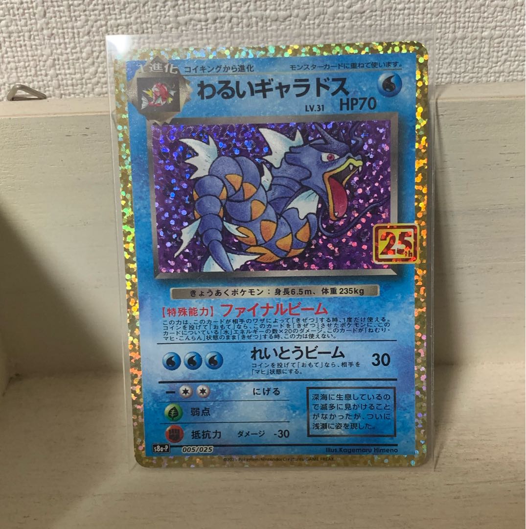 わるいギャラドス25th