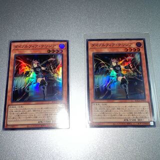 Dynorphia terrestris Super Rare