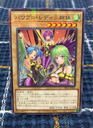 パワプロ・レディ三姉妹】ﾉｰﾏﾙﾊﾟﾗﾚﾙの通販 【プロフ】ダイキチ