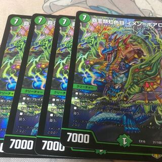 Heteroptera, Iridescens, Imen-Boaro.