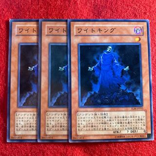 King of the Skull Servants*5379