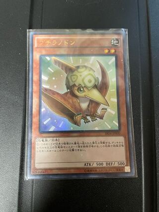 プチラノドン ウルトラレア