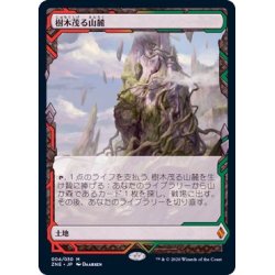 [EX+](Full Art)Wooded Foothills/Wooded Foothills 《Japan...