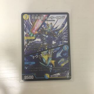 天命龍装ホーリーエンド