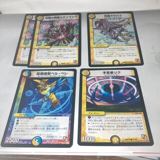 Spirit of Light Ray Kachamashig and other extras