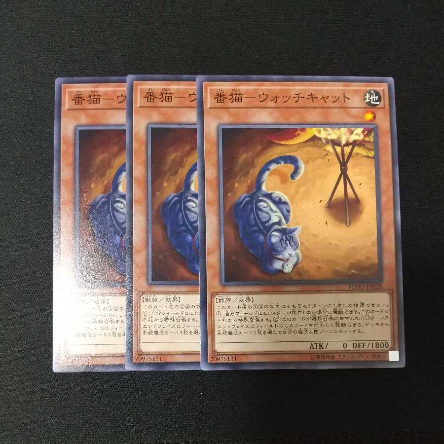 Watch Cat - Watch Cat Normal