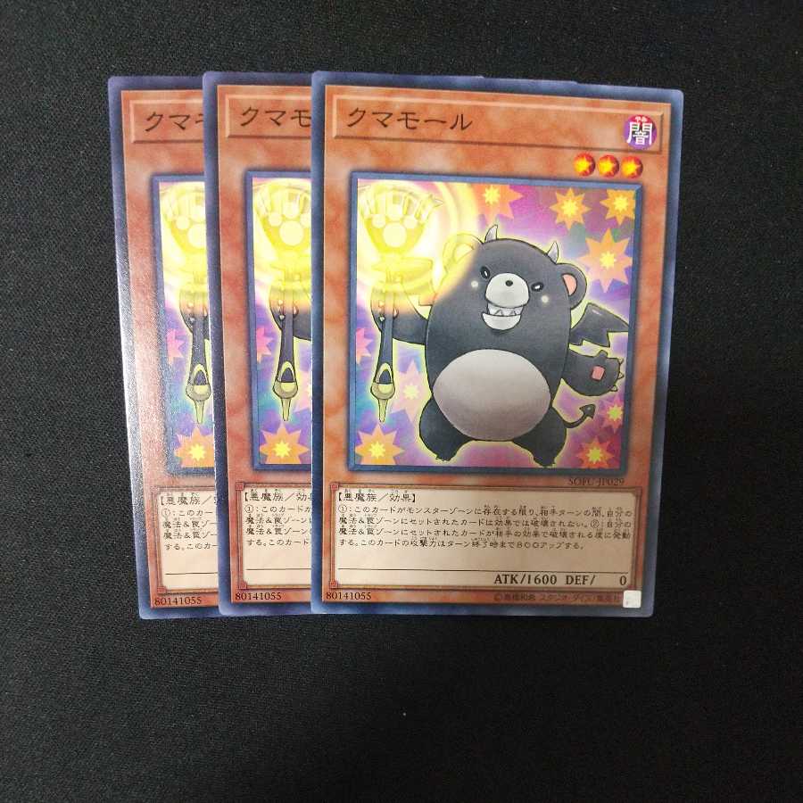 クマモール ノーマル