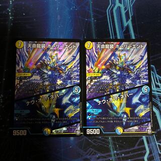 天命龍装ホーリーエンド2枚セット