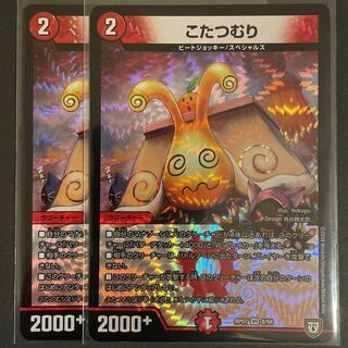 ポスト様専用　　傷あり　こたつむり VR       2枚セット