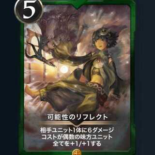 【最低価格】可能性のリフレクト