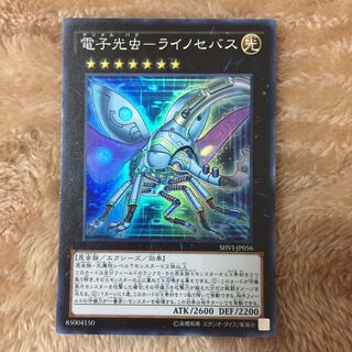 Electron Photoworm - Linocebus