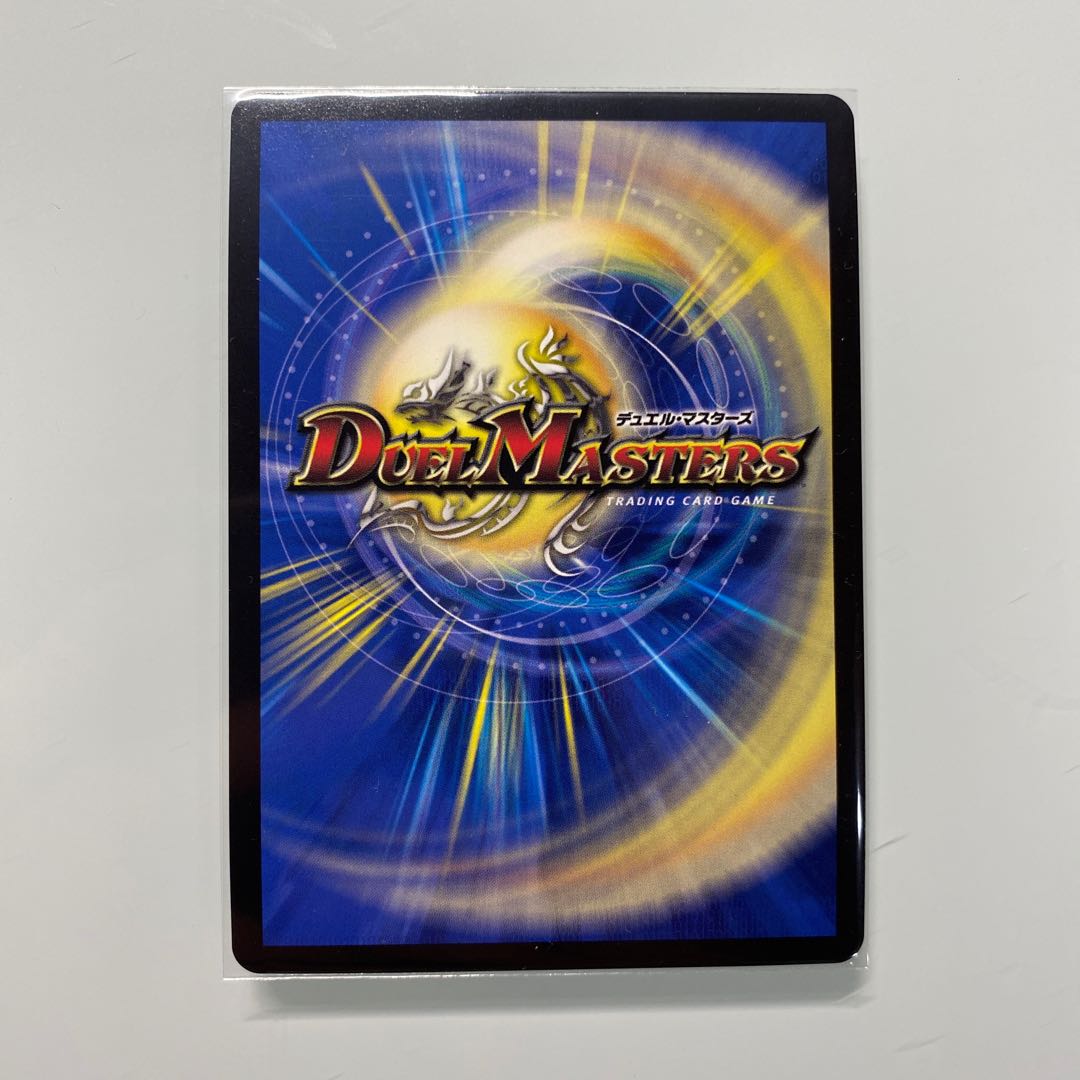 (Listed until February 28!!!) Tri-Guard Charger R CS Promo