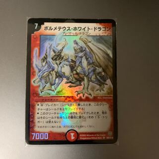 ボルメテウスホワイトドラゴン