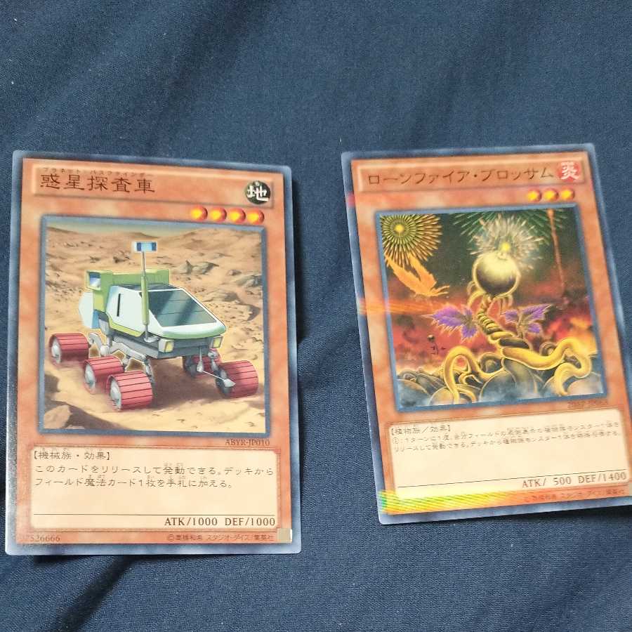 Planet Pathfinder, Lone Fireblossom