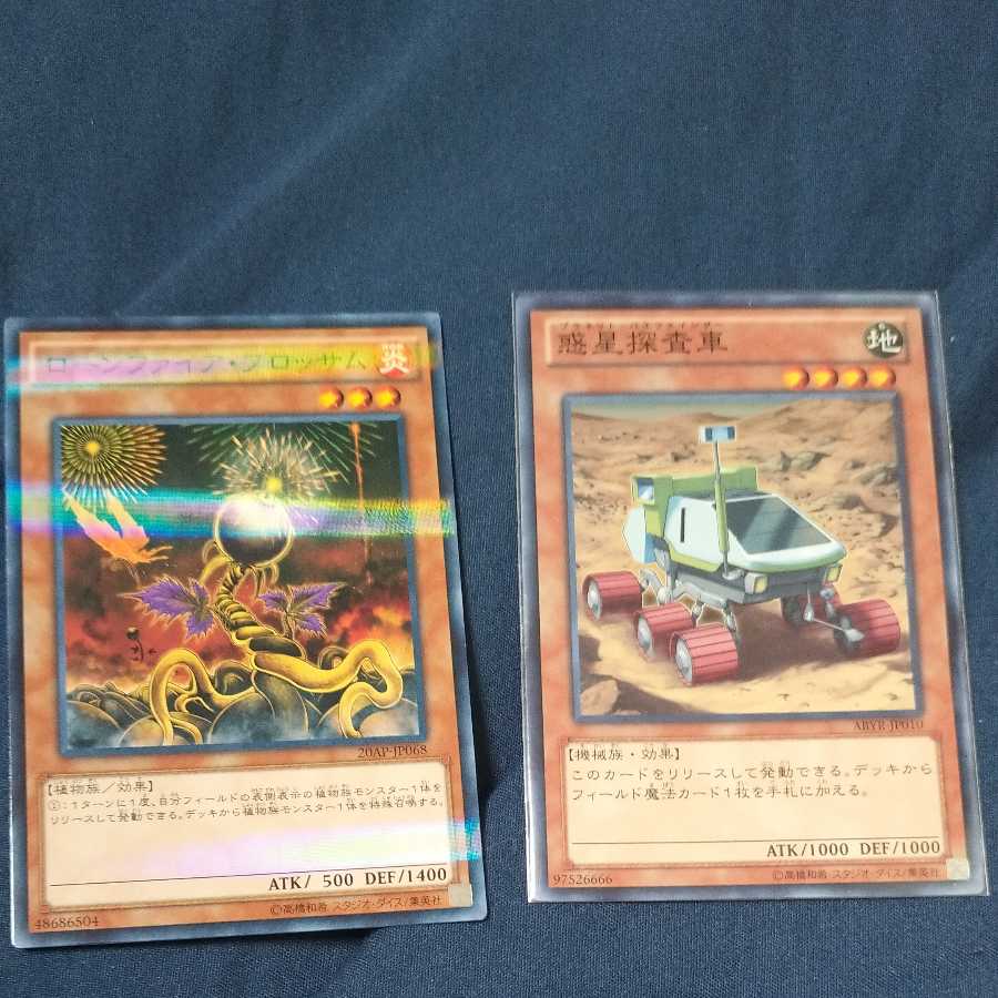 Planet Pathfinder, Lone Fireblossom