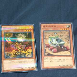 Planet Pathfinder, Lone Fireblossom