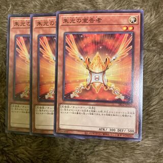 Madrace 2127Herald of Orange Light Normal