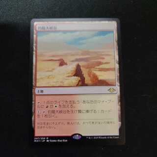 マジック：ザ・ギャザリング - mtgモダンホライゾン(MH1)版FOIL「灼陽大峡谷」2枚セット mtgモダンホライゾン(MH1)版FOIL「灼陽大峡谷」2枚セット