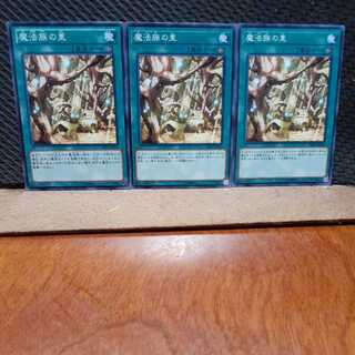 Popotan] Yu-Gi-Oh! 2041 Secret Village of the Spellcasters 3-card set, normal.