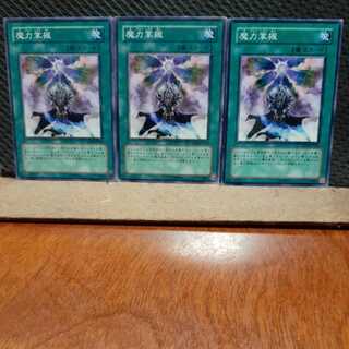 【ぽぽたん】遊戯王　2046　 魔力掌握　3枚セット　ノーマル