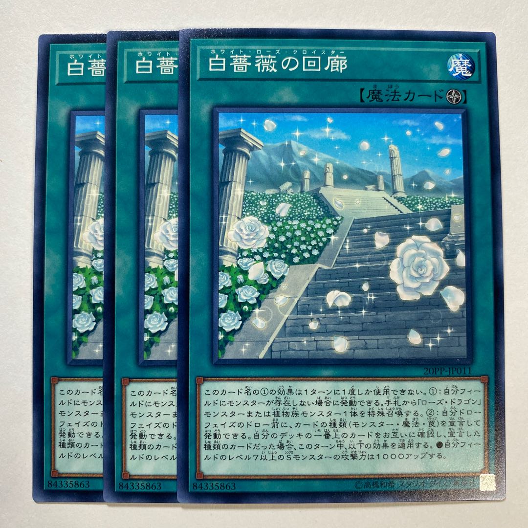 White Rose Cloister Normal