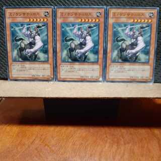 【ぽぽたん】遊戯王 　11510　ミノケンサテュロス　3枚セット　ノーマル