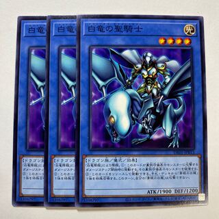 Paladin of White Dragon Normal