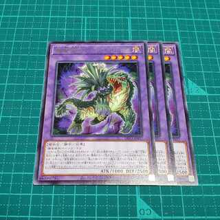 Prey Upon plant ambromeridus 3 pieces