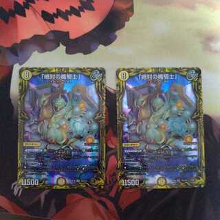 Absolute shield knight" (20th rare specification)