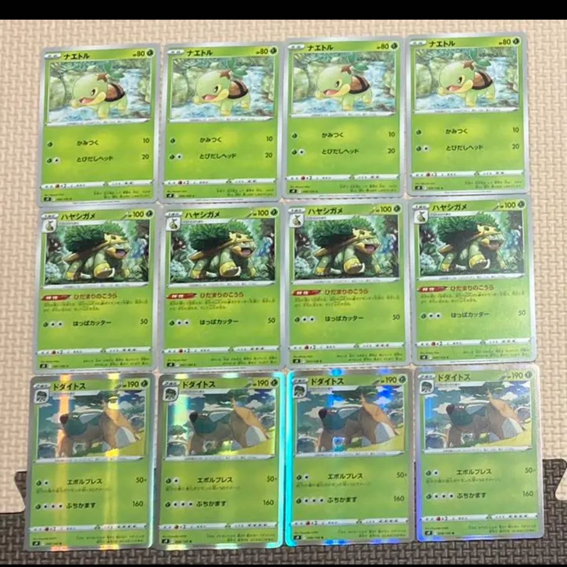 Torterra Pokemon Card Evolution Line