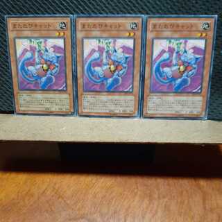 【ぽぽたん】遊戯王  4736　またたびキャット　3枚セット　ノーマル