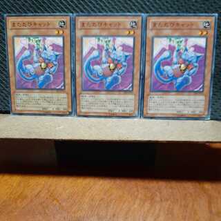 【ぽぽたん】遊戯王  4551　またたびキャット　3枚セット　ノーマル