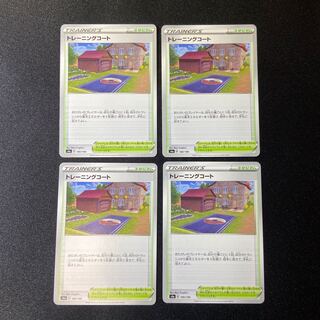 Training Court x 4 sheets