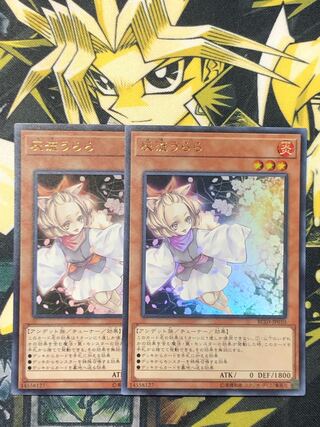 灰流うらら　2枚　ウルトラレア