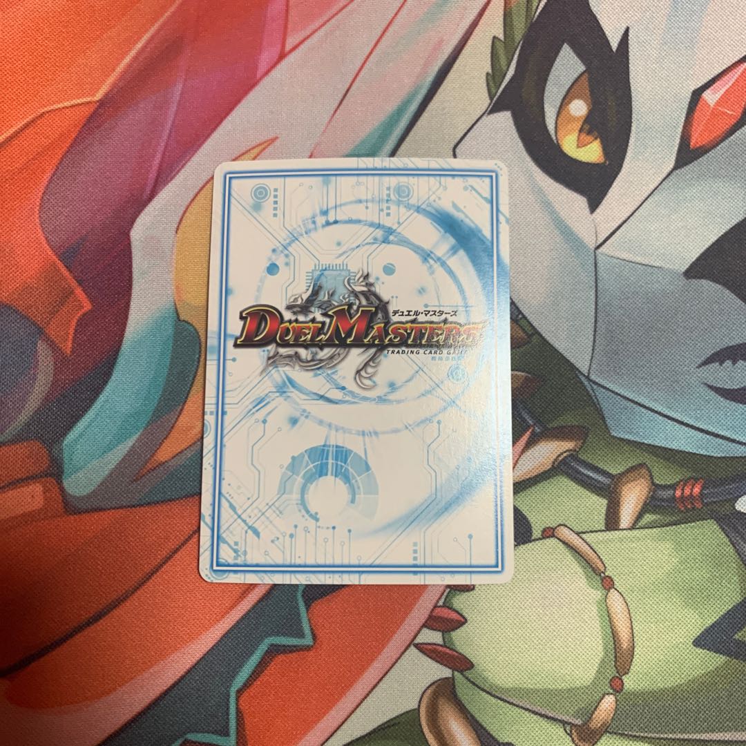 サヴァクティス　シク