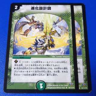 進化設計図　2枚【管理記号12】