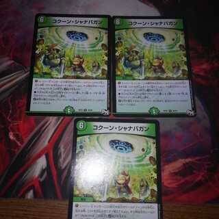 コクーンシャナバガン 3枚セット