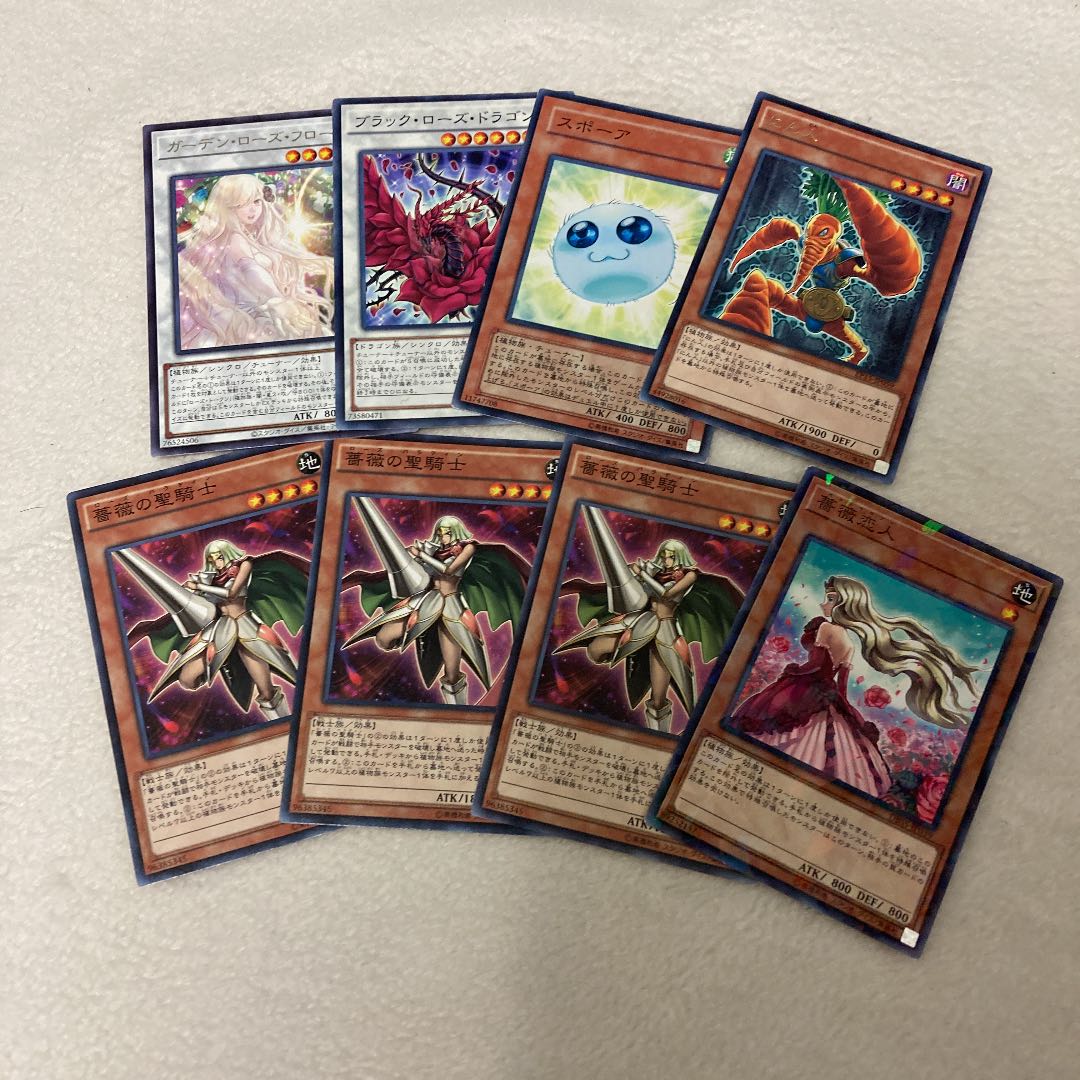 Yu-Gi-Oh! Rose Paladin Normal Set