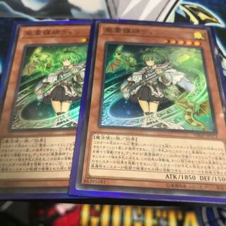 風霊媒師ウィン