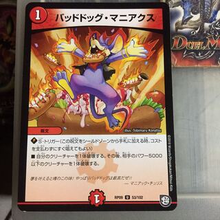 セット割引  バッドドッグ・マニアクス