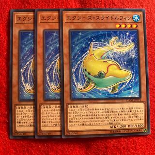 エクシーズ・スライドルフィン☆5490